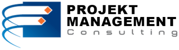 Projekt Management Consulting